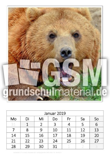 Januar_Kodiakbär.pdf